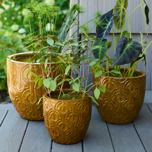 Indoor/Outdoor Planter