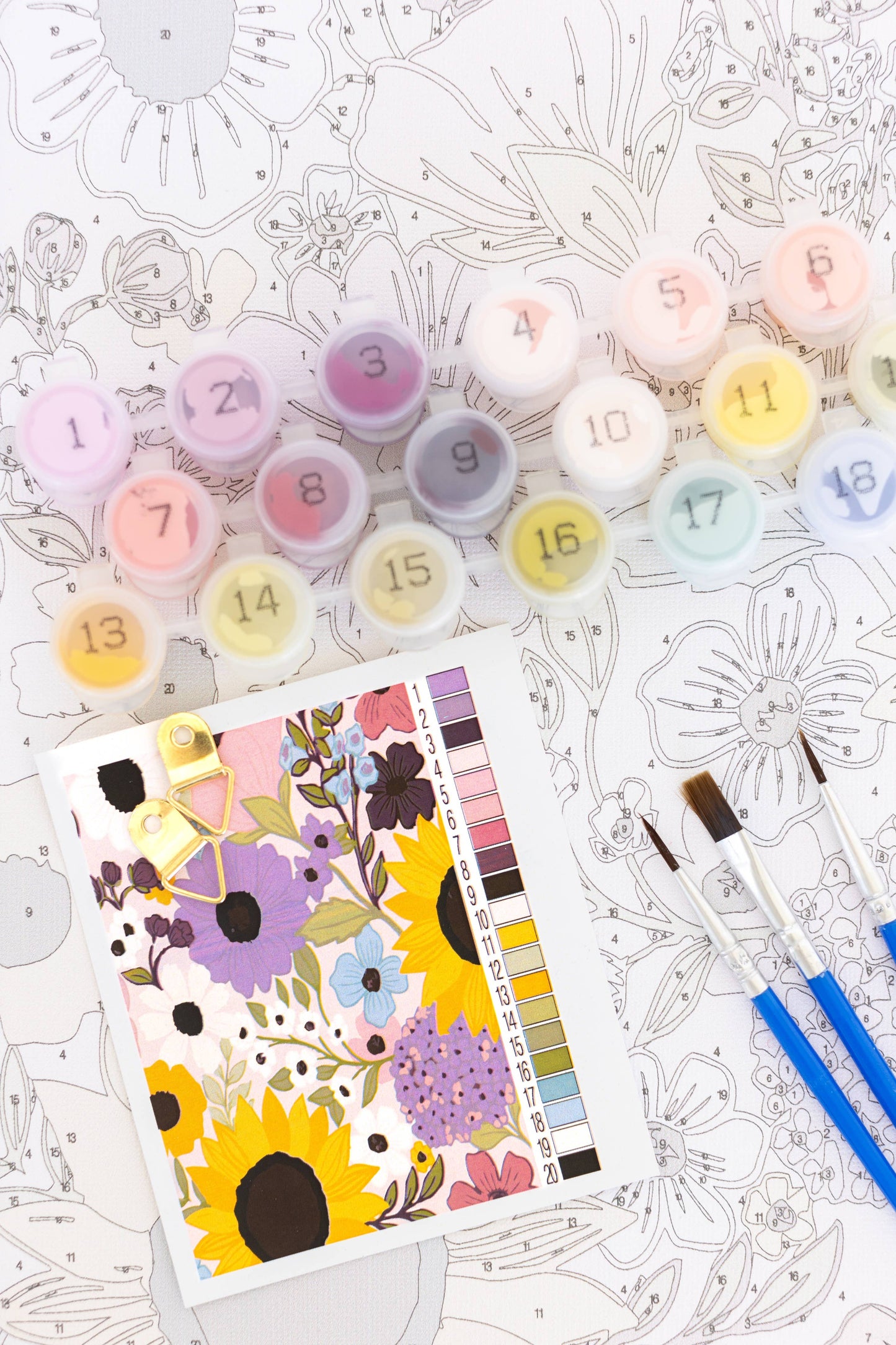 Paint By Number Kit | Rainbow Garden