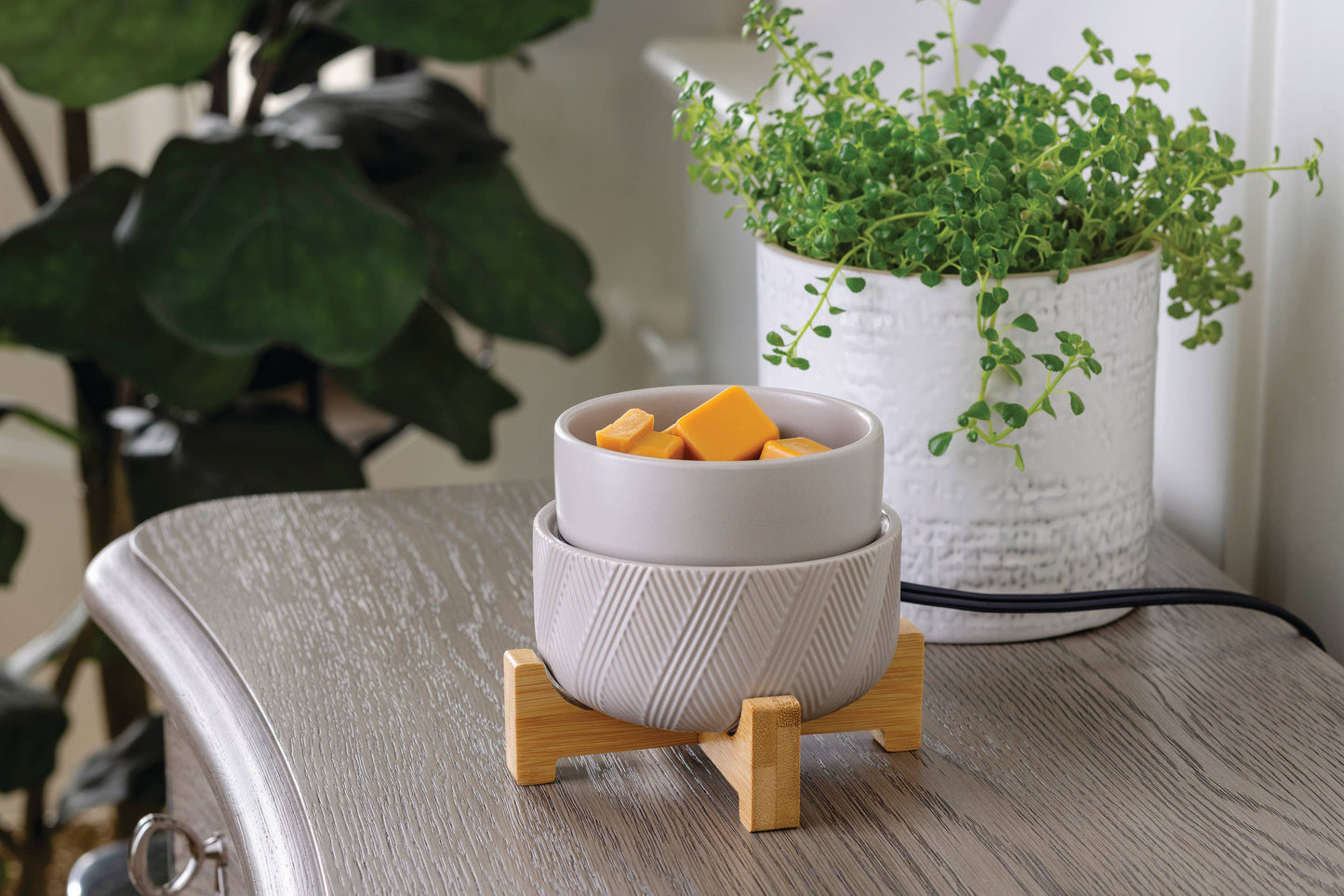 2-In-1 Classic Warmer | Wooden Pedestal
