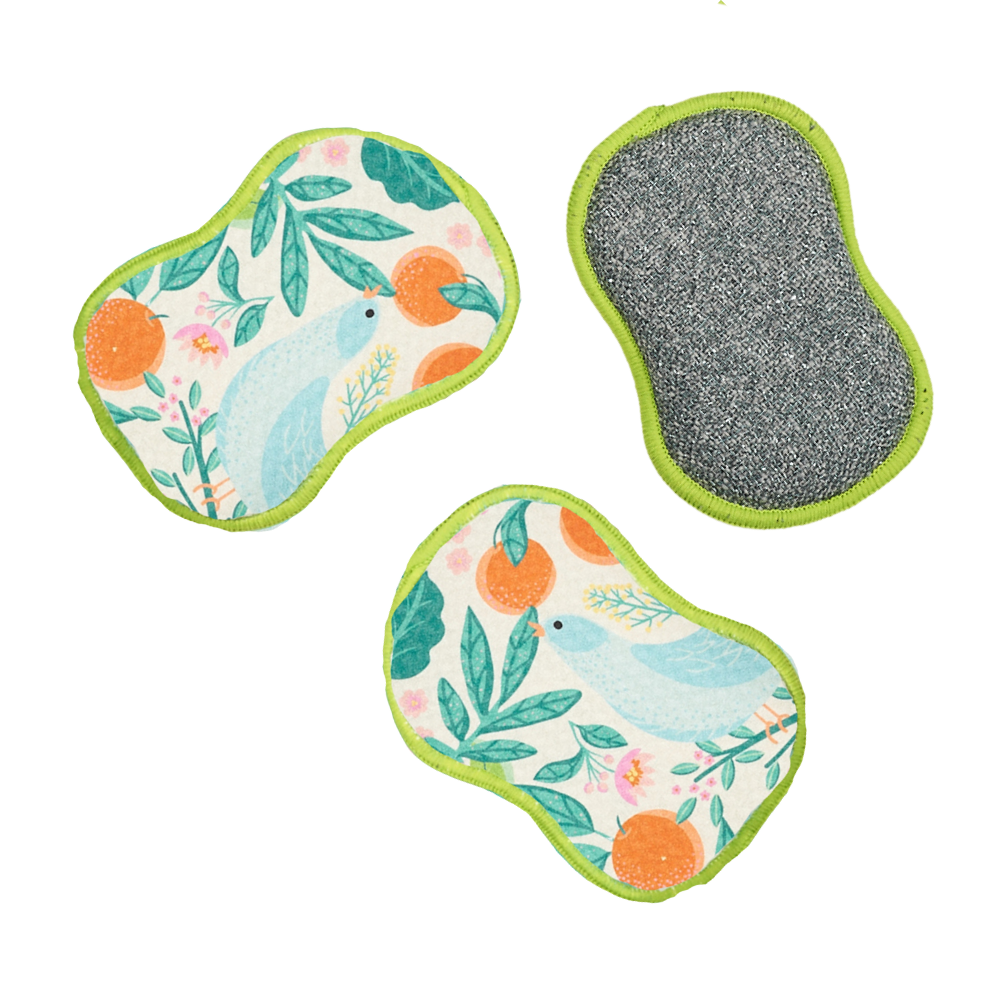 RE:usable Sponges | MT Partridge Family