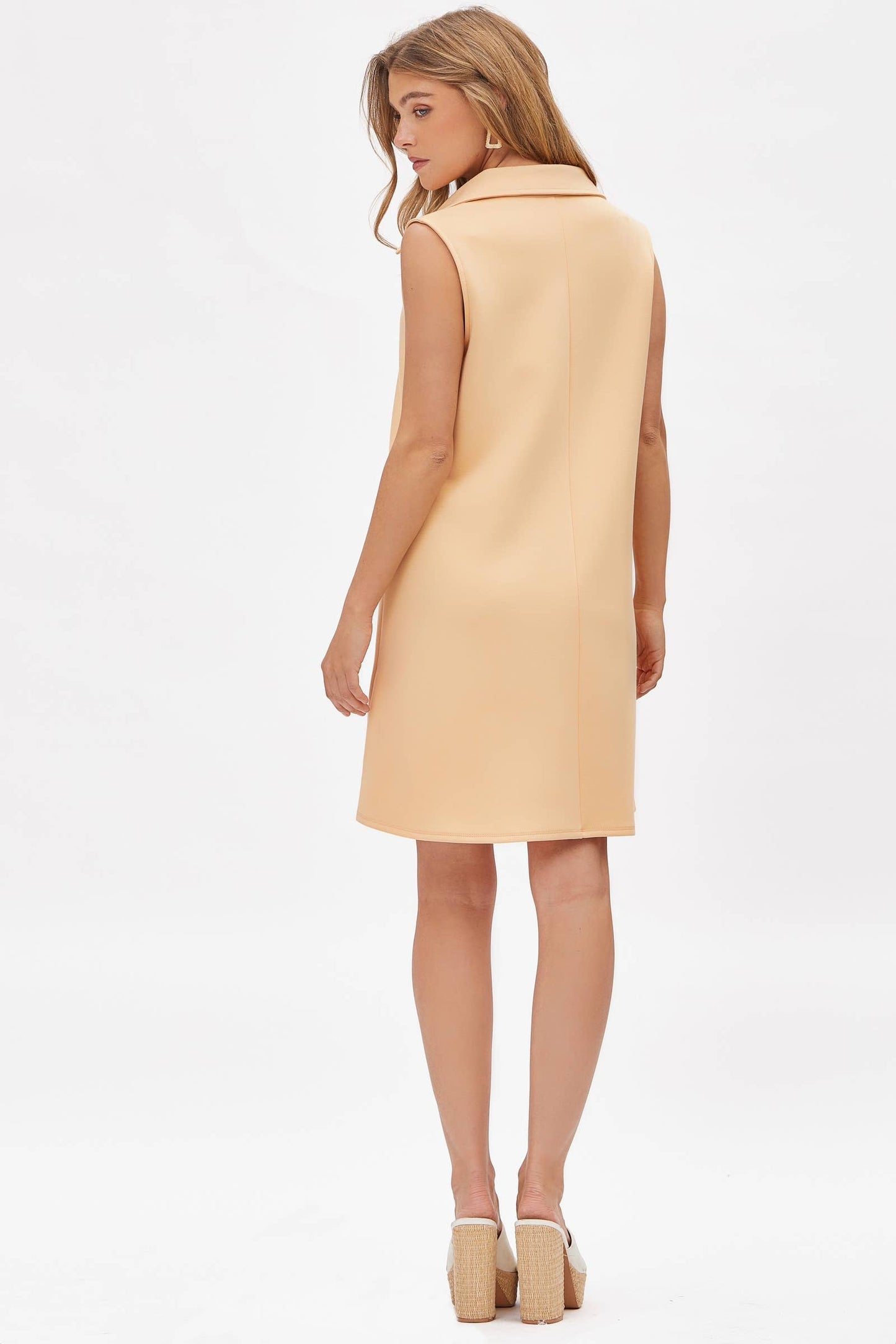 Collared Scuba A-Line Dress