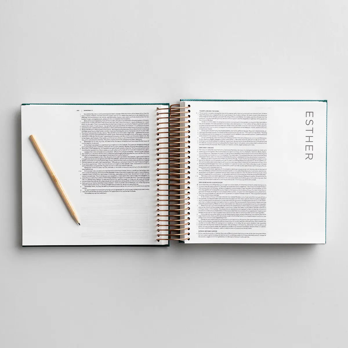Illustrating Bible | CSB