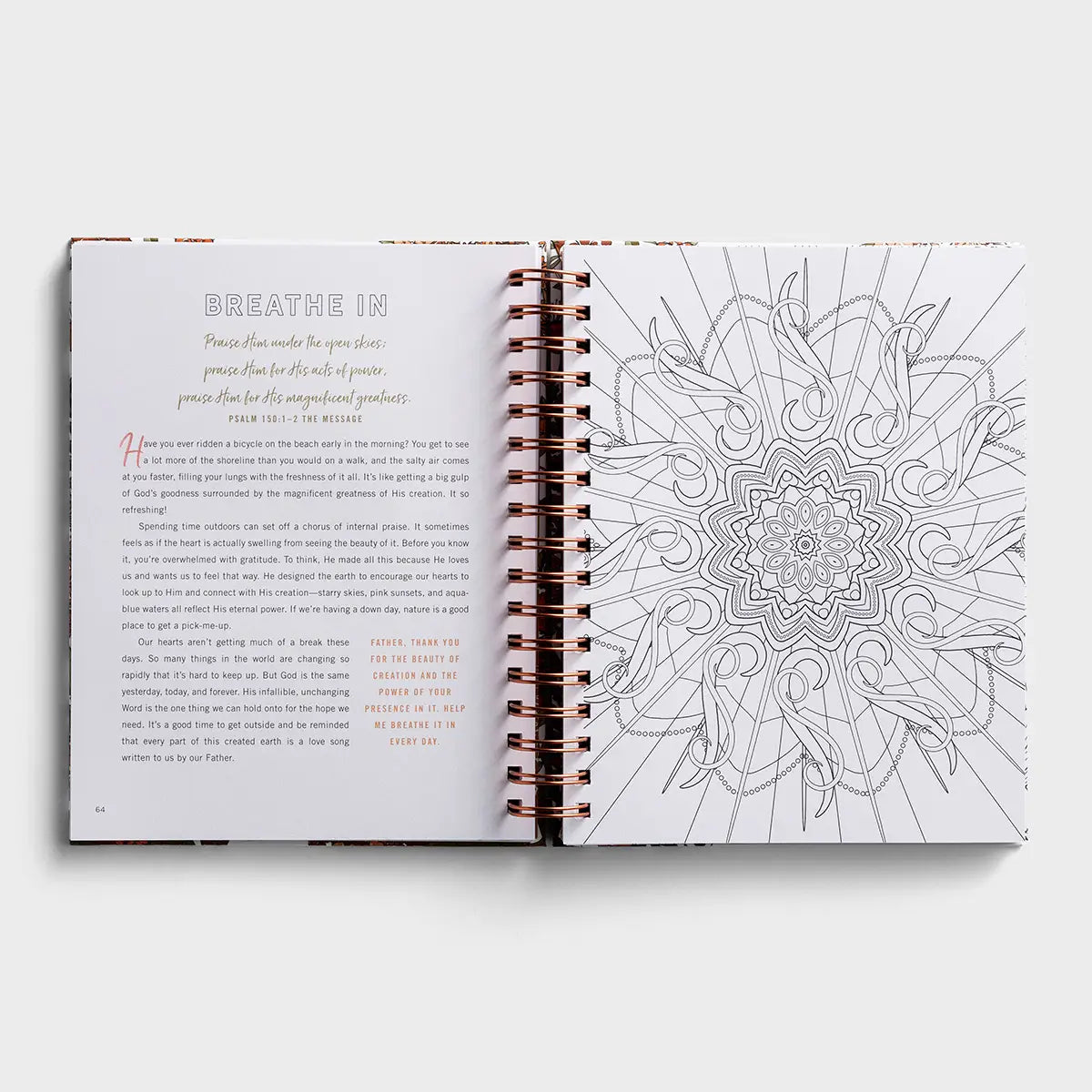 Devotional Coloring Book | Set Your Mind on Things Above