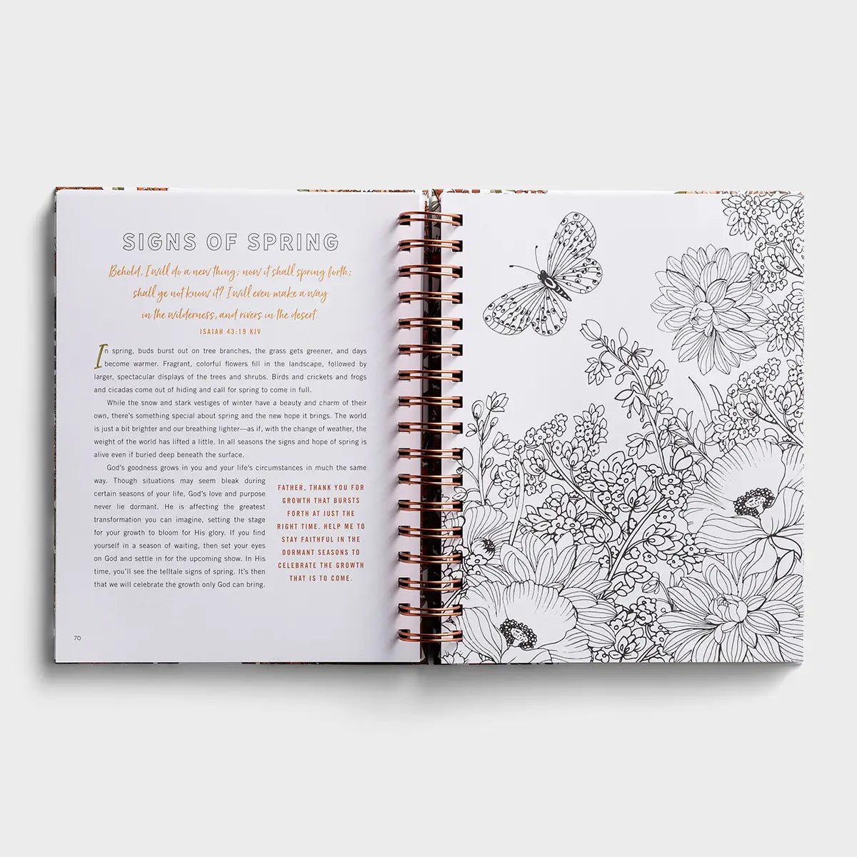 Devotional Coloring Book | Set Your Mind on Things Above