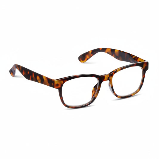 Kent Progressive Readers | Tortoise