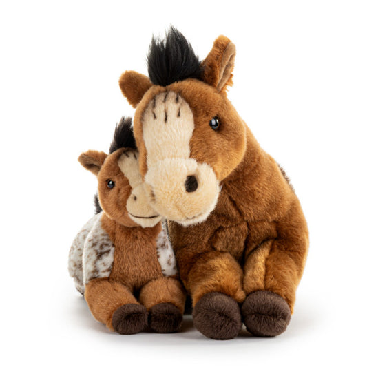 Appaloosa Horse & Baby