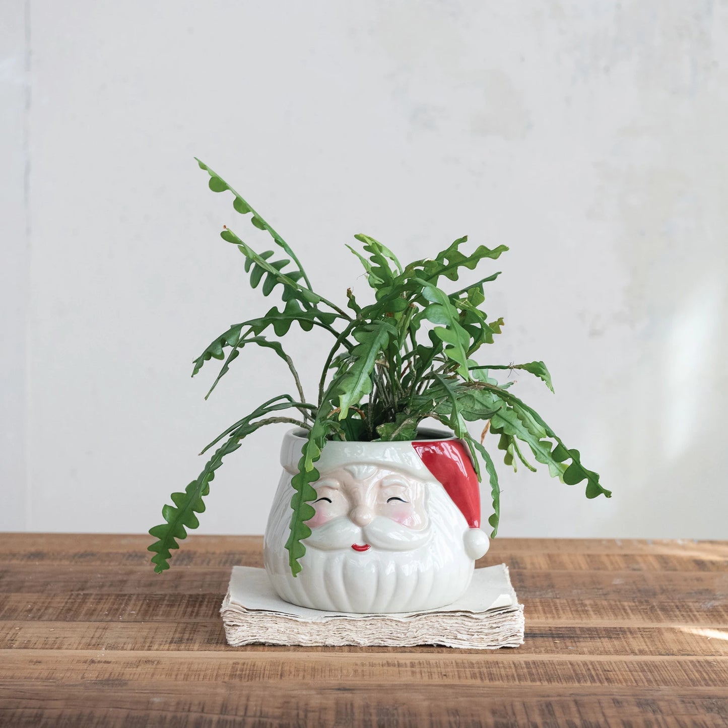 Santa Head Shaped Planter