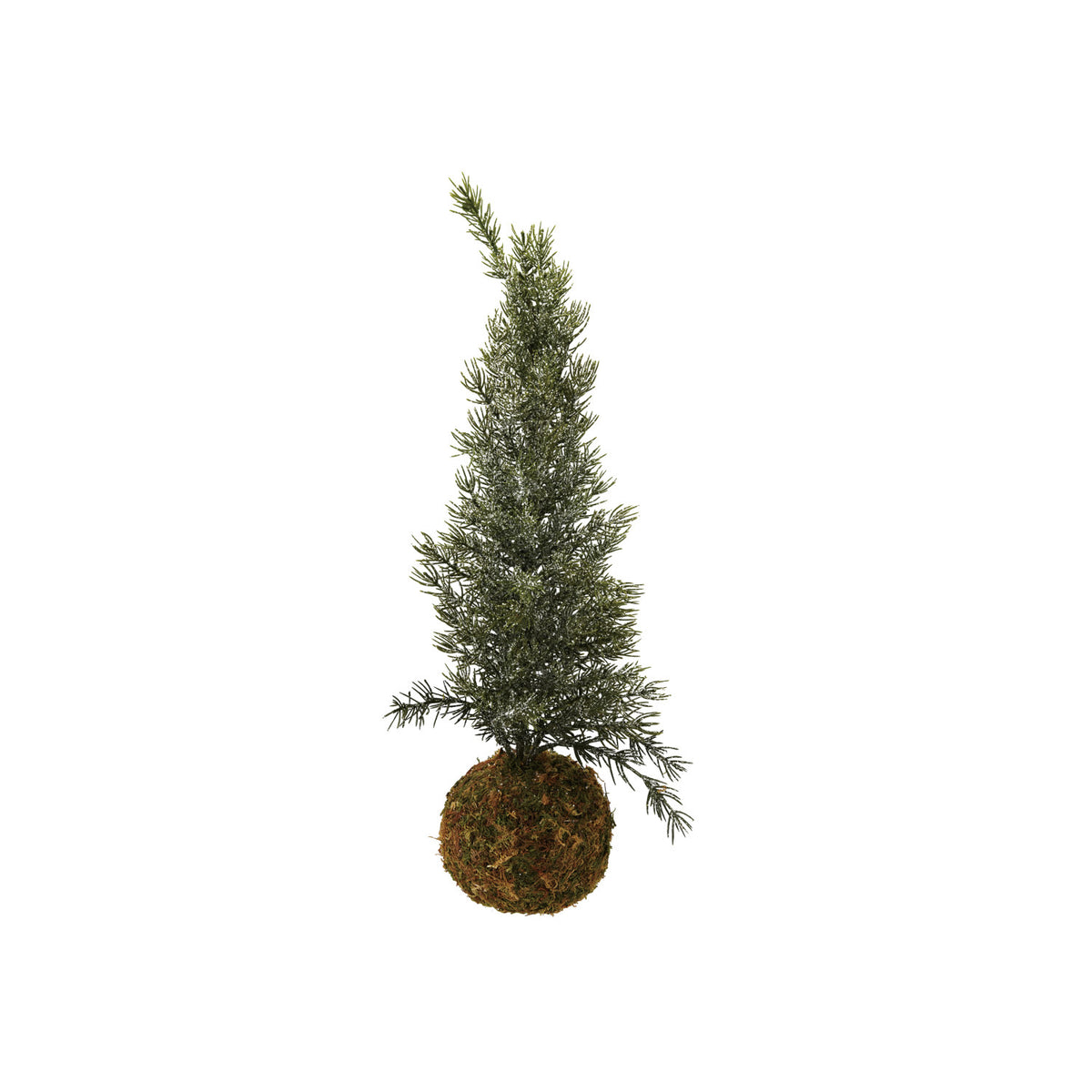Faux Fir Tree w/ Moss Ball Base