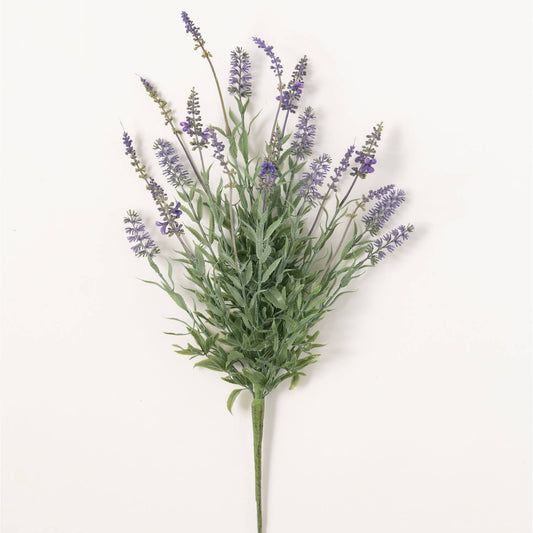 Lavender Bush