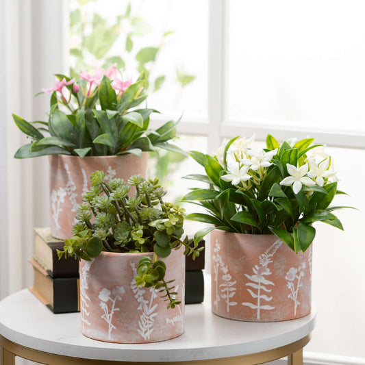 Terracotta Herb Patterned Planter