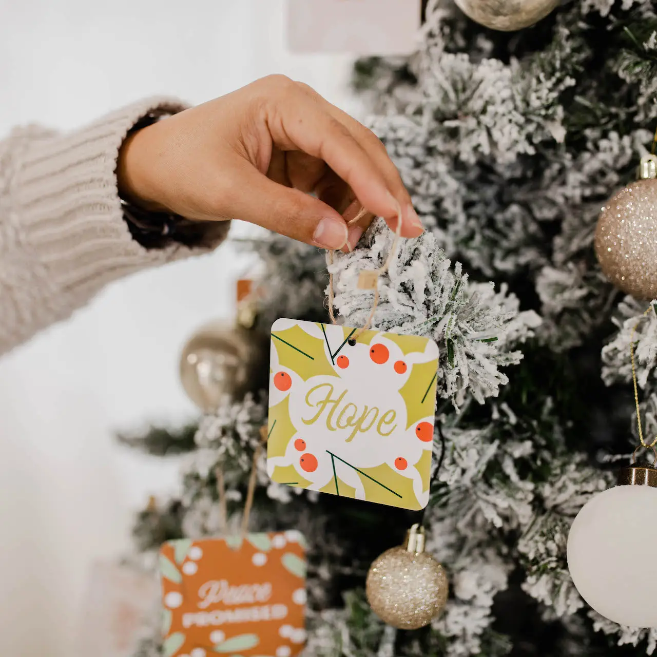 Family Advent Devotional Ornament Set