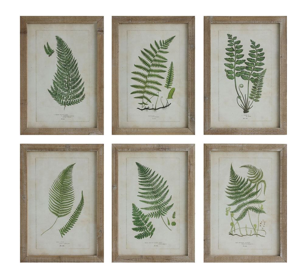 Fern Print