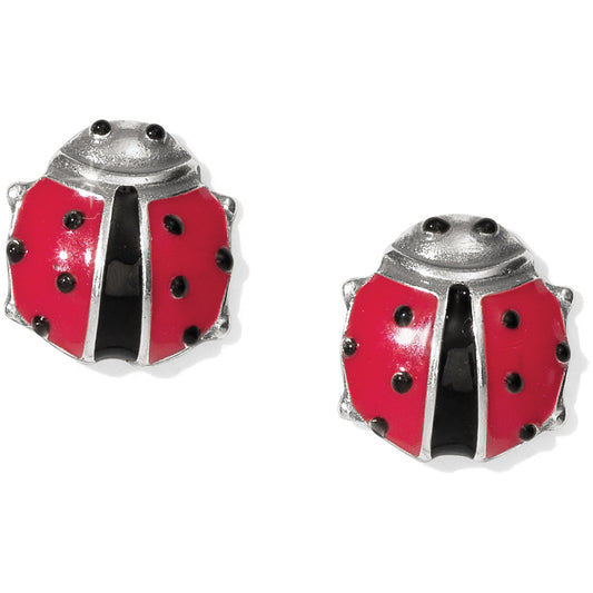 Spring Ladybug Mini Post Earri