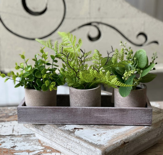 Carlisle Eucalyptus Arrangement