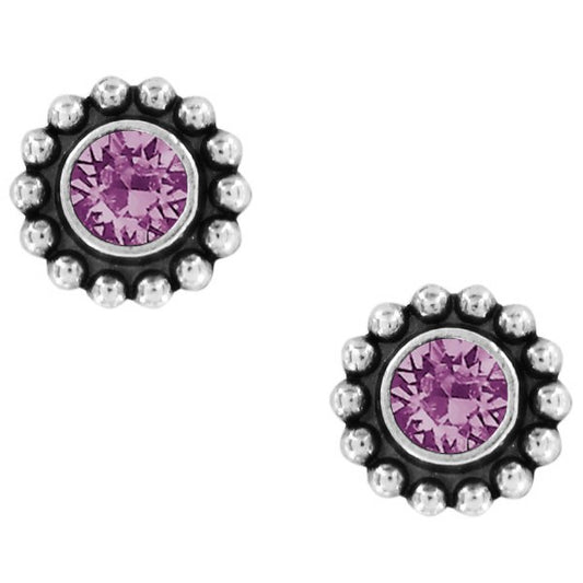 Twinkle Color Mini Post Earrings