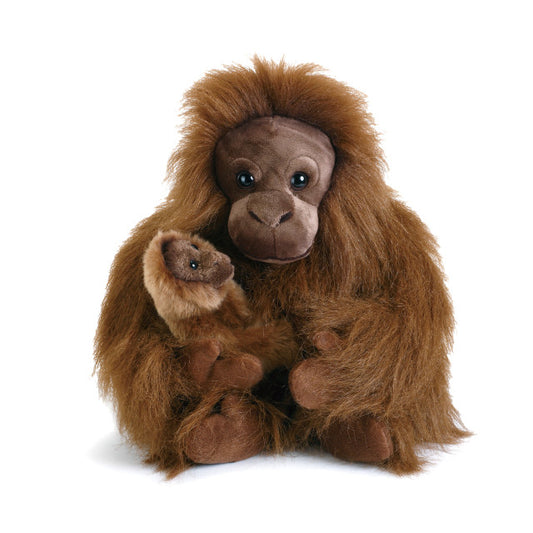 Orangutan Mom & Baby